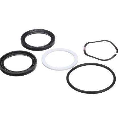 Picture of Cleveland Shaft Seal Kit 300 Hak Part# 1H800-0000022