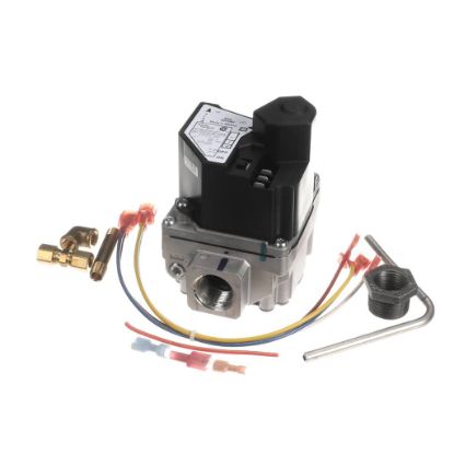 Picture of Cleveland Gas Valve Repl Kit 2-Stg Part# FK113049