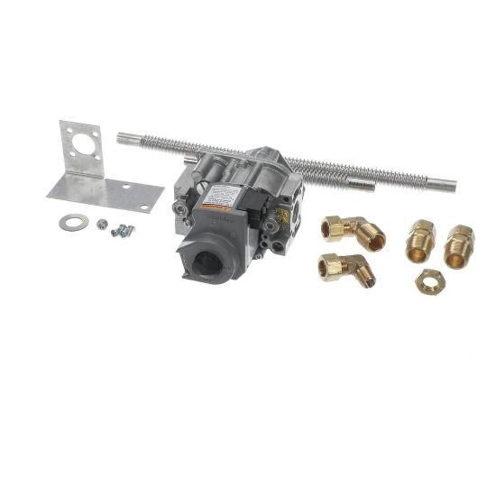 Picture of Cleveland Gas Valve Assy Nat 21Cg A5 Part# S106404