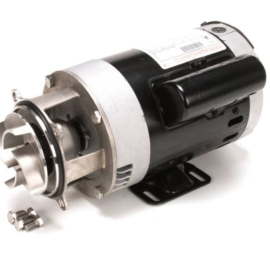 Picture of CMA Dish Machines Pump Assembly 115/220V 60Hz (Open) Part# 200.1