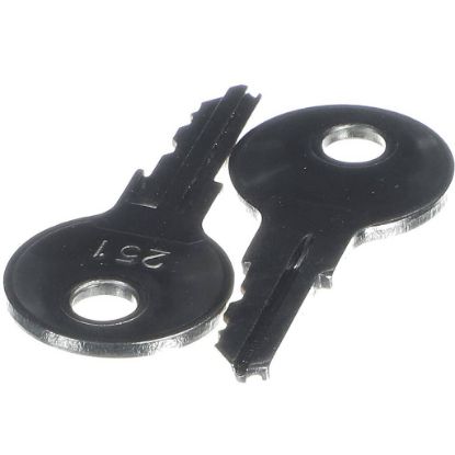 Picture of CMA Dish Machines Key - Only Part# 450