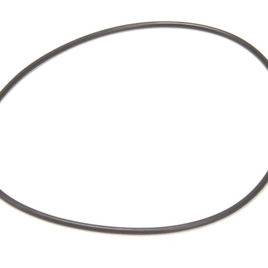 Picture of CMA Dish Machines Volute O-ring For Ss Pump Part# 3226.7