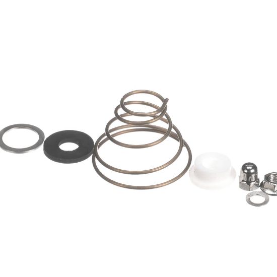 Picture of Convotherm Set Of Seals For Motor Shaft O Part# 2618801