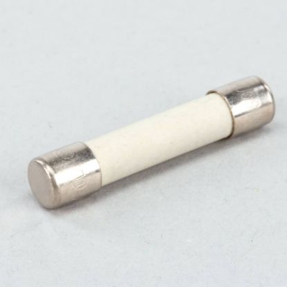 Picture of Convotherm Fuse; Mda-10 Part# 300430