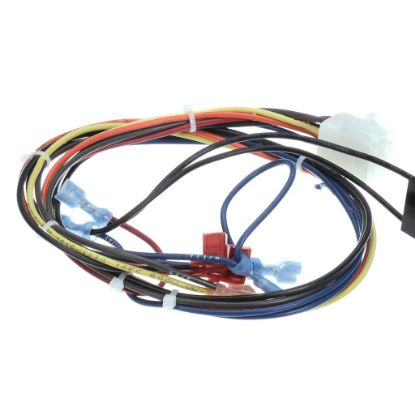 Picture of Convotherm Wire Harness,cleaning Part# 300983