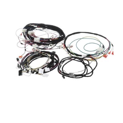 Picture of Convotherm Wiring Loom X22 X23 X26 X40 Gas Boiler W Part# 5265392