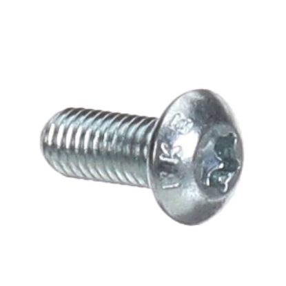 Picture of Convotherm Oval Head Screw Torx M5x12 P3 Part# 8012001