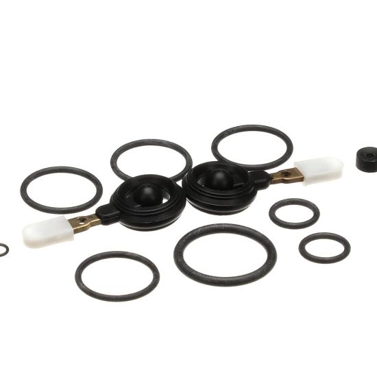 Picture of Cornelius Kit Repair Sf1 Valve Part# 1001864