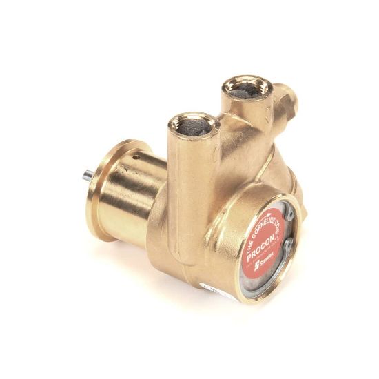 Picture of Cornelius Pump Water Br 125Gph W/strainer Part# 2535006