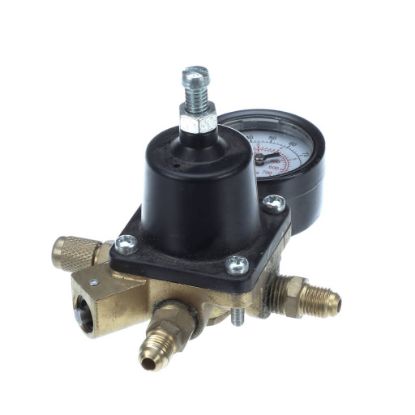 Picture of Cornelius Regco2 S 2X100 2-1/4Fl Part# 283012122