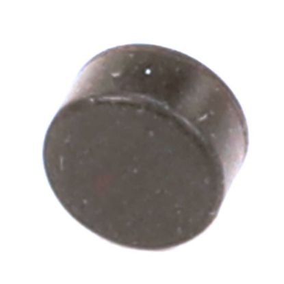 Picture of Cornelius Seal Armature Water Side Part# 620070041