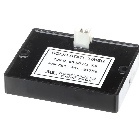 Picture of Cornelius Control Timer Delay 120/60 Part# 638031796
