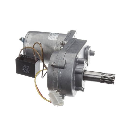 Picture of Cornelius 1/10Hp 115V 50Hz 6Prm Spg Part# 740002764