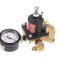 Picture of Cornelius Regulator Assembly Viper Part# 910705026