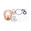 Picture of Chicago Pneumatic Tune-up Kit Part# 8940158635