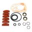 Picture of Chicago Pneumatic Tune-up Kit Part# CA149746