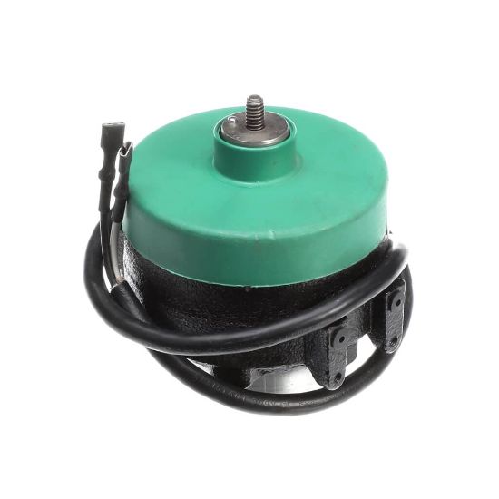 Picture of Delfield Motor Fan 16W Ecm Part# 2160002