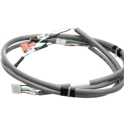 Picture of Delfield Harness Ldd Probe Nit Ro Part# 2183908