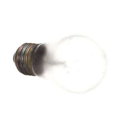 Picture of Delfield Bulb Light Tuff-skin 2 20V Part# 2194281