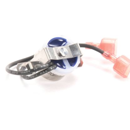 Picture of Delfield Limit High Defrost Part# 2194953
