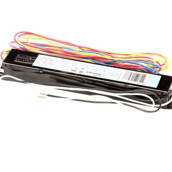 Picture of Delfield Ballastelectronic Program St Part# 2195377