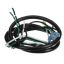 Picture of Delfield Harness Main Comp Part# 2195118