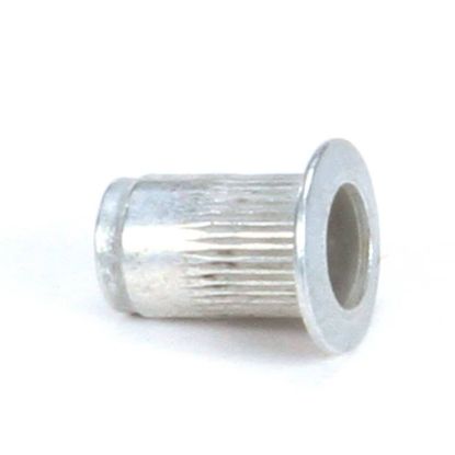 Picture of Delfield Insert Threaded 8-32 Part# 9321184