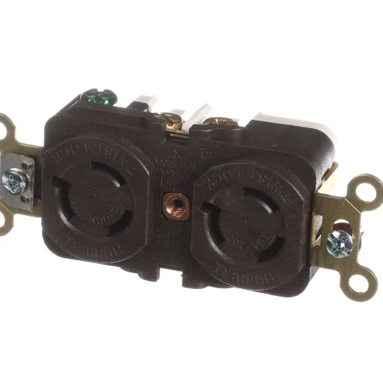 Picture of Delfield Receptacle Duplex 15A L6-15r Part# TBP00290