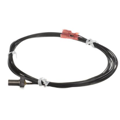 Picture of Delfield Thermistor8''hi Tempblack Part# TBP00336