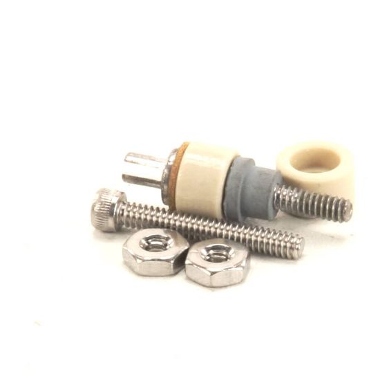 Picture of Delfield Button Probes And Screw Part# TBRF0022-S