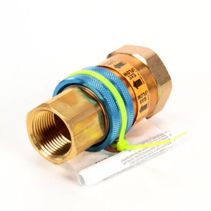 Picture of Dormont 1" Snapfast Quick Disconnect Part# A100