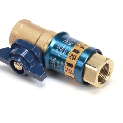 Picture of Dormont 3/4" Dia. Safety Quik Valve/qd Part# CF-75