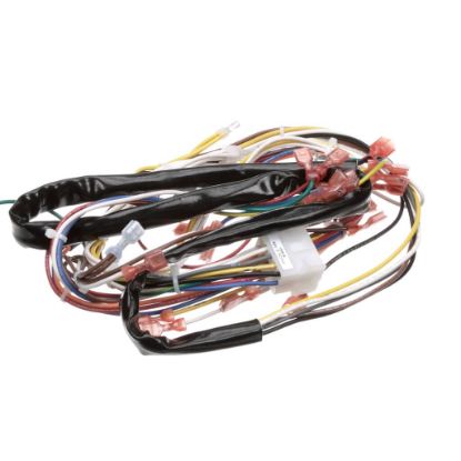 Picture of Duke Harnessmotor/gas Control Part# 153618