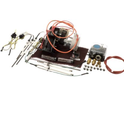 Picture of Duke Kit,full Pm-i3p (G31), 230V Part# 600435