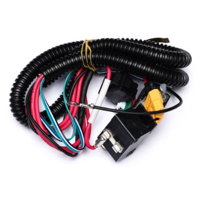 Picture of Ego Switch Assembly Part# 2824718001