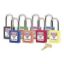 Picture of Master Lock® Purple Plastic Safety Padlock  Keyed Differently Part# - 410Prp