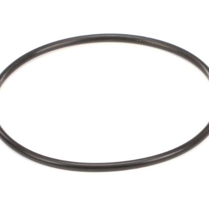 Picture of Everpure Costguard O-ring Part# 151121