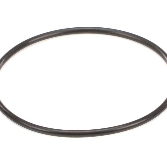Picture of Everpure Costguard O-ring Part# 151121