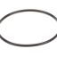 Picture of Everpure Costguard O-ring Part# 151121