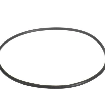 Picture of Everpure O-ring Epdm Bb Upc Part# 151122