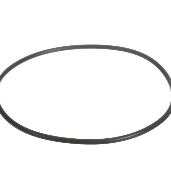 Picture of Everpure O-ring Epdm Bb Upc Part# 151122