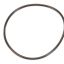 Picture of Everpure O-ring Buna-n#241 Std Upc Bulk Part# 151120