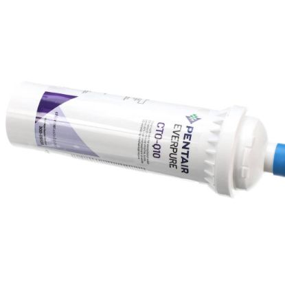 Picture of Everpure Cto-q10 Part# 300-05828