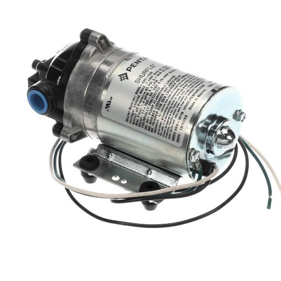 Picture of Everpure Pump 115V 3.0 P/ep/santo Part# 8005-233-236