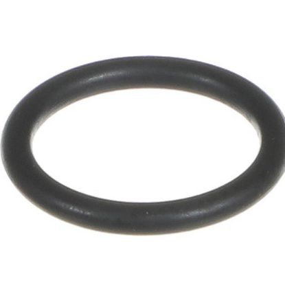 Picture of Everpure Rt-3 Rt-9 O-ring/union Part# EV301097