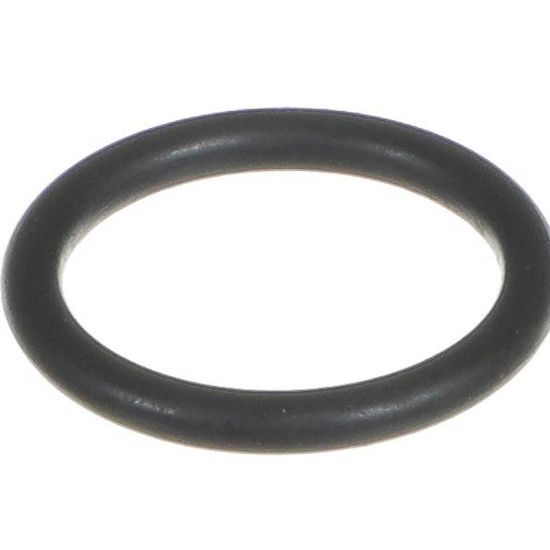Picture of Everpure Rt-3 Rt-9 O-ring/union Part# EV301097
