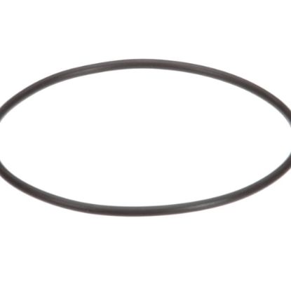 Picture of Everpure Replacement O-ring Part# EV307119