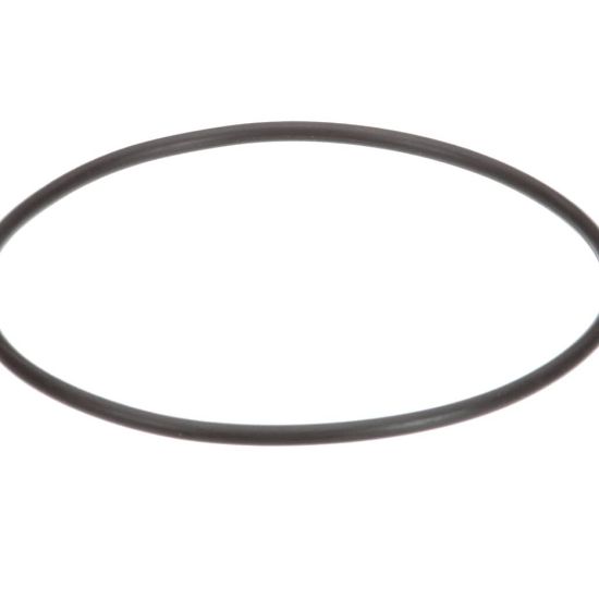 Picture of Everpure Replacement O-ring Part# EV307119