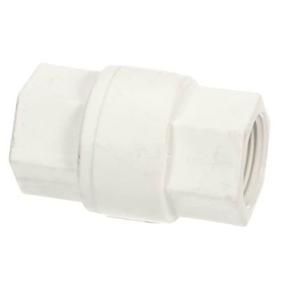 Picture of Everpure Valve,check, 3/4 Npt Female Part# EV311450