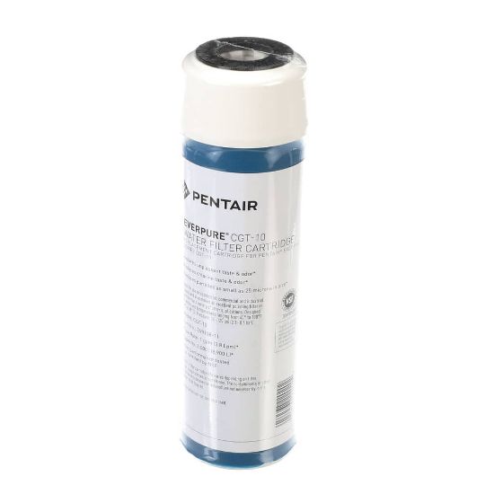 Picture of Everpure Cgt-10 Part# EV910811